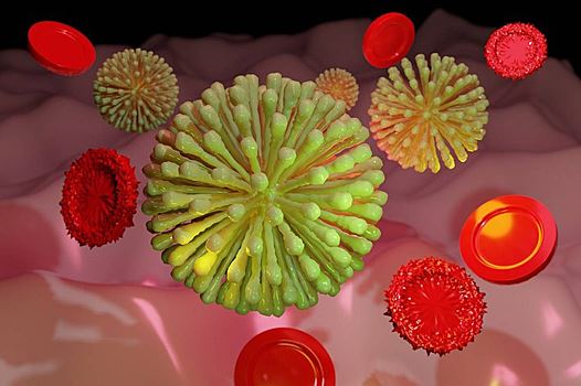 Инфекционист Мескина рассказала, кто рискует заболеть вирусом НMPV