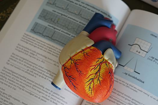 Симптомы инфаркта миокарда и правила первой помощи, которые спасут жизнь