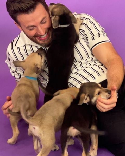 «Это лучшее фото в Интернете»: Крис Эванс растрогал поклонников снимком с щенками