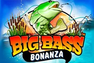 Сука casino slot